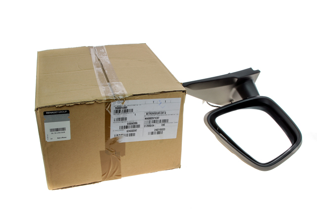 963029484R Renault (RVI) Корпус дзеркала заднього виду, лівого