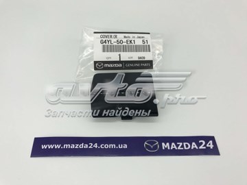 Заглушка бампера буксирувального гака, задня FPS FP4422972
