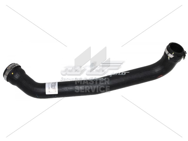  8200248597 Renault (RVI)