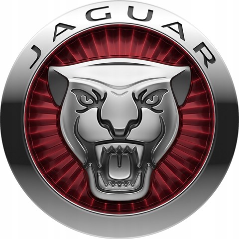 GX7317K899AD Jaguar 