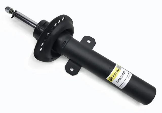 RS312937 Raiso Стійка передня