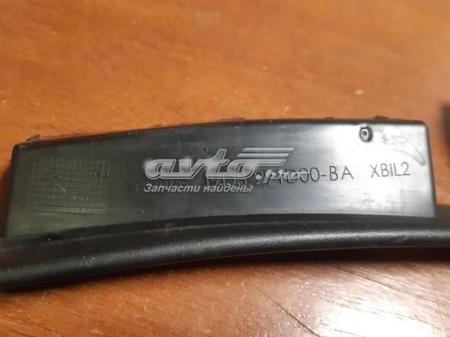 Купити T4K7615 Jaguar 