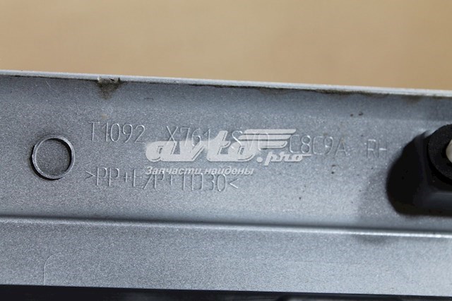 T4A13118 Jaguar 