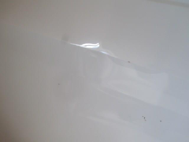 Дверка передня права Skoda Octavia IV A8