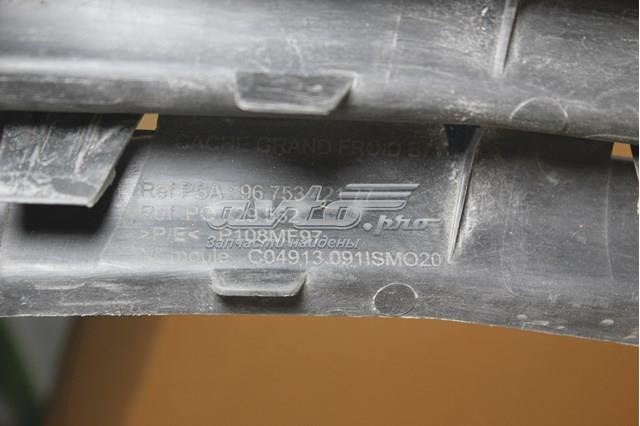 9675342177 Peugeot/Citroen