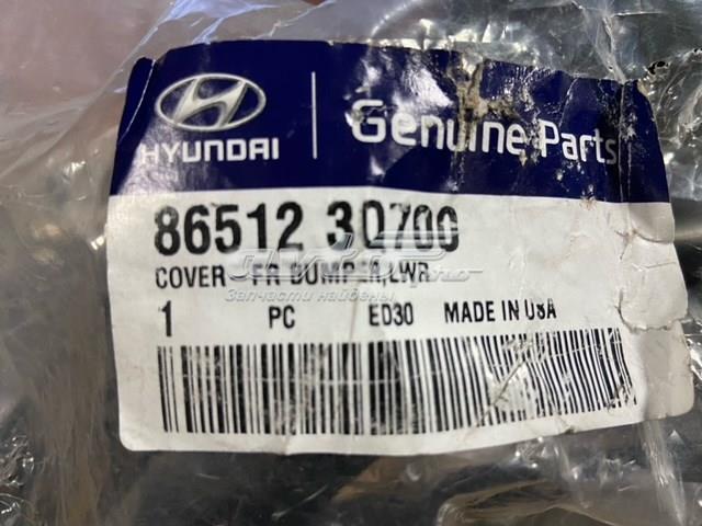 865123Q700 Hyundai/Kia 
