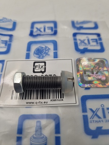 Купити Q2980070 Q-fix Болт рокера клапана