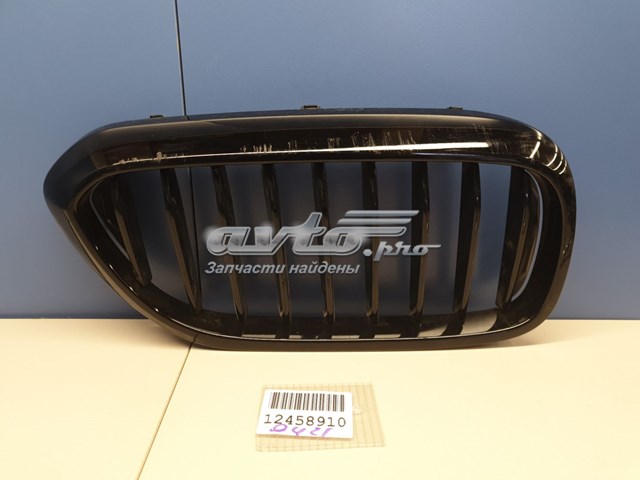PBM07084BK Signeda Решітка радіатора права