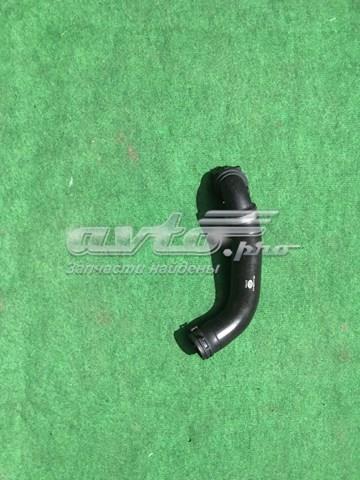 LR039251 Land Rover Шланг/патрубок радіатора охолодження, нижній