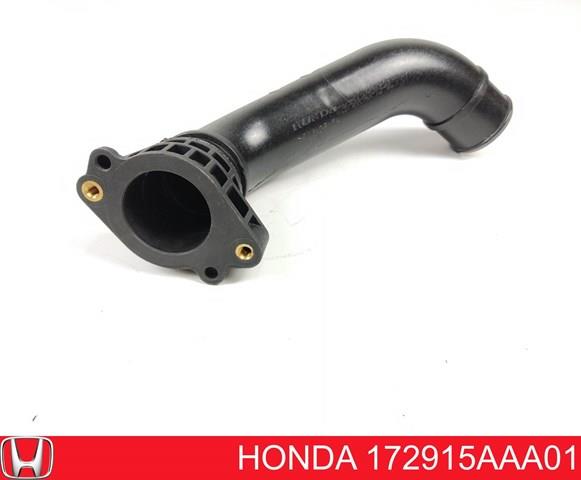 172915AAA01 Honda 