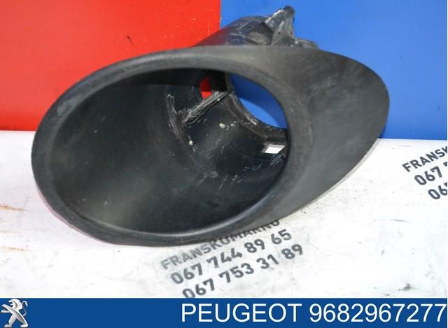 9682967277 Peugeot/Citroen 
