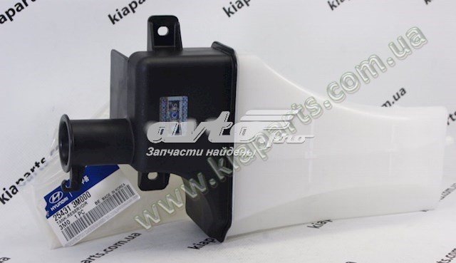 Бачок розширювальний Hyundai/Kia 254313M000