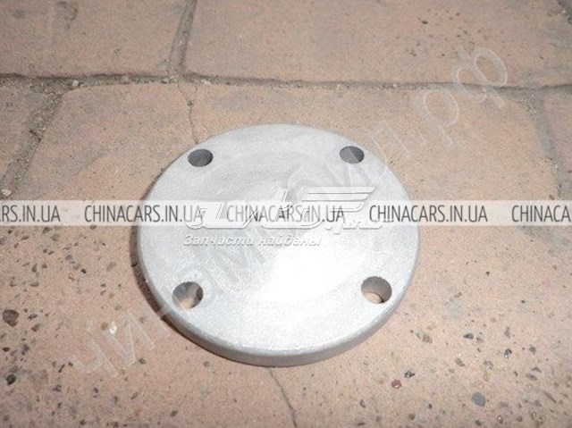  3170102101 Geely
