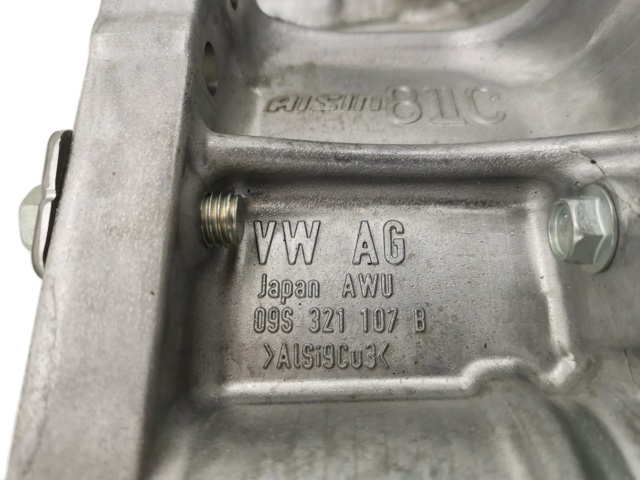 09S300036A VAG 