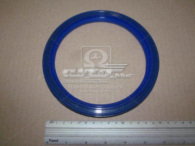 2361005160 MAZ 
