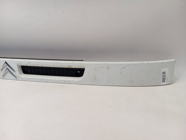 Купити 1305094080 Peugeot/Citroen Захисна решітка радіатора