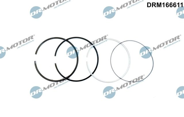 Купити 1612784580 Peugeot/Citroen Кільця поршневі компресора, на 1 циліндр, STD