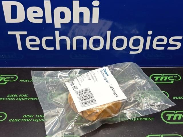  Delphi 7189100CK ціна, від 255.88 USD