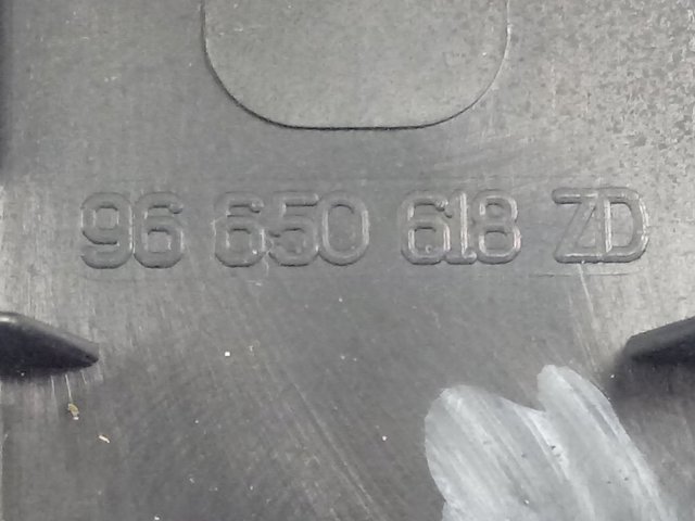 96650618ZD Peugeot/Citroen 