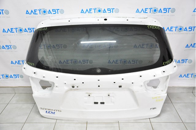 73700C6000 Hyundai/Kia Треті двері