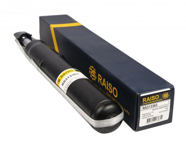 RS313363 Raiso Стійка передня