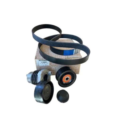 Купити 117203790R Renault (RVI) 