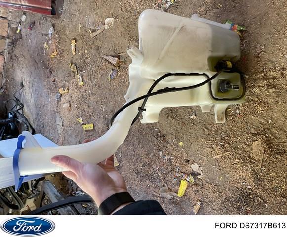 DS7317B613 Ford 