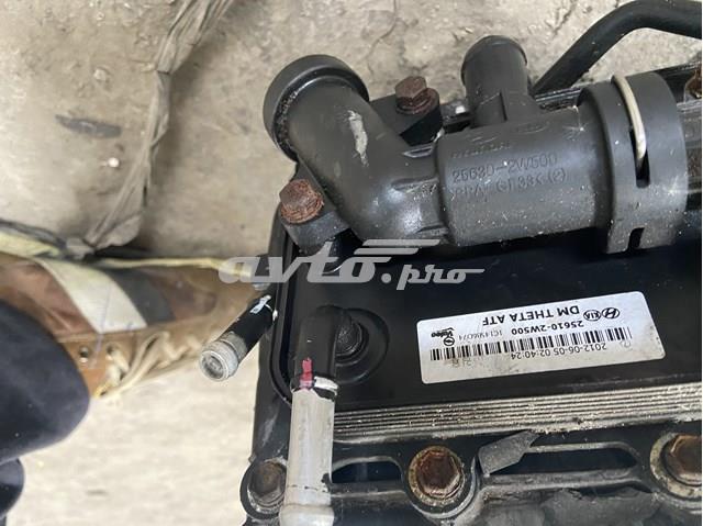  Hyundai/Kia 256102W500