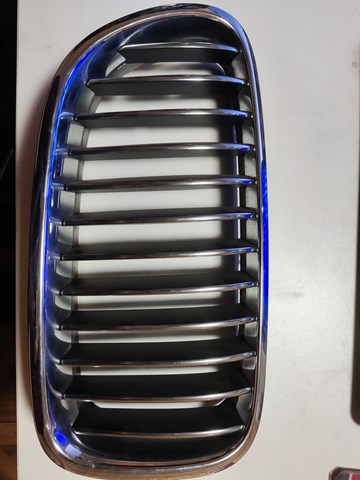 Купити 18801310 BMW Захисна решітка радіатора