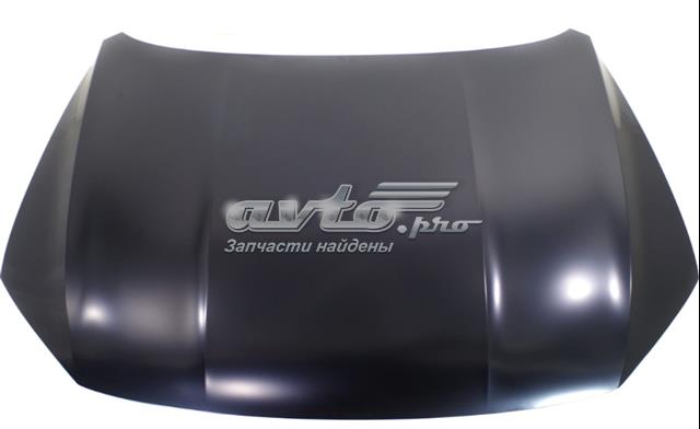 PVW20070AQ Signeda Капот