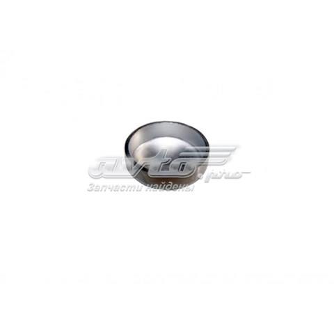 4801003018 Chery Заглушка головки блока