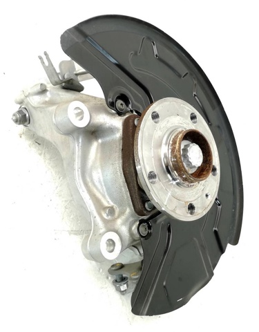Купити 1EA407254F VAG Цапфа передні праві