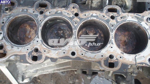CGBB Ford Мотор в зборі