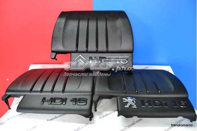 9684889480 Peugeot/Citroen 