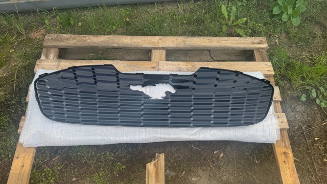 Купити LK9Z8419BA Ford Накладка бампера переднього