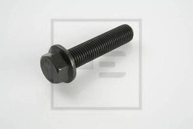Ступичний болт BPW 0250709600