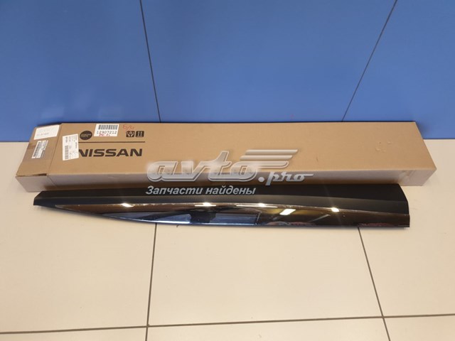 808705BF0A Nissan/Infiniti 
