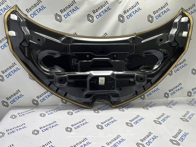 Капот Renault (RVI) 651001566R ціна, від 395.65 USD