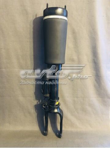 Амортизатори передні Mercedes A2513203113