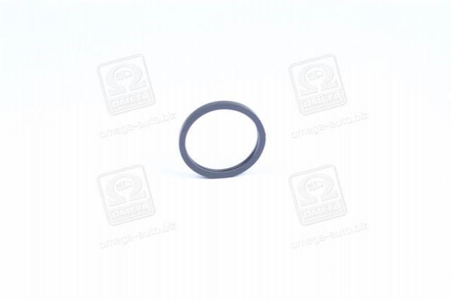 Прокладка термостата P1EC003 Parts-Mall
