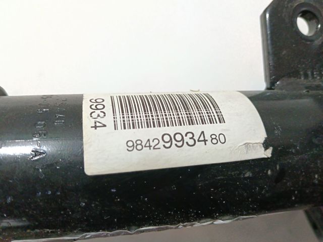 9842993480 Peugeot/Citroen 