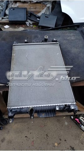 Купити DG938005 Ford Радіатор двигуна