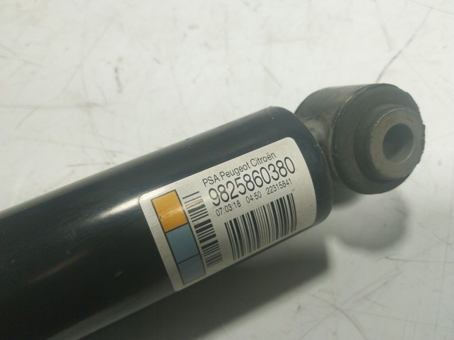 9825860380 Peugeot/Citroen 