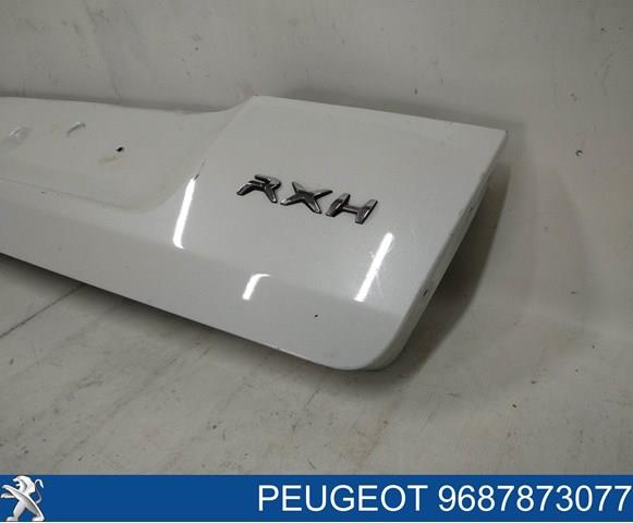  Peugeot/Citroen 9687873077