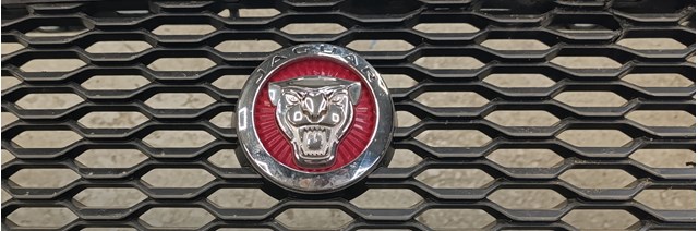 J9C5647 Jaguar Емблема капота