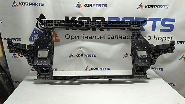 Купити 64101P1000 Hyundai/Kia Установча панель передня