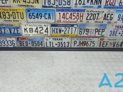  Nissan/Infiniti 808395AA1B