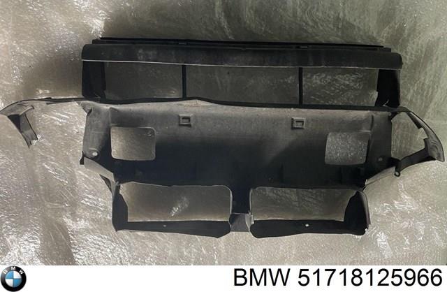  51718125966 BMW