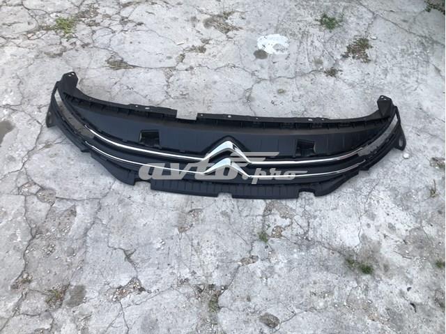 Купити 9816749780 Peugeot/Citroen Захисна решітка радіатора