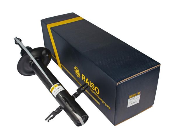 RS314572 Raiso Стійка передня